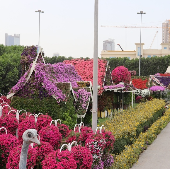 Meet your Posher, Travel fun - Picture 1 of 1